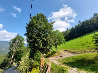 Bild 103 aus  Almhaus Maurer