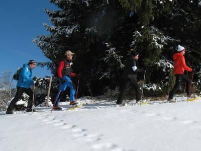 Bild 72 aus  Tobadillerhof Kinderbauernhof Pitztal Tirol