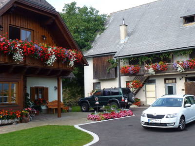 Bild 40 aus  Steirer