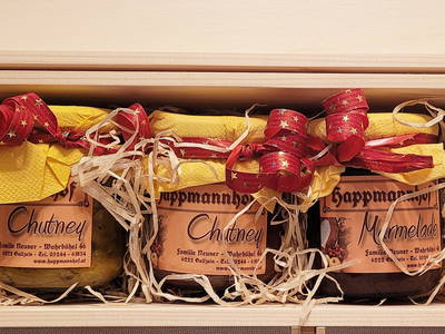 Bild 47 aus  Ferienhaus Marias Hoamatl