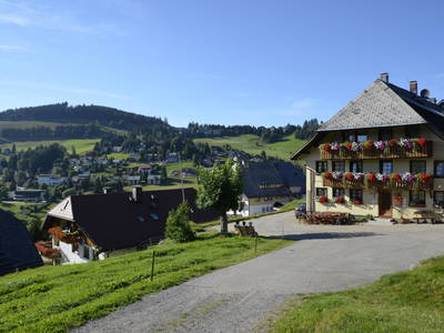 Bild 5 aus  Sunmattehof