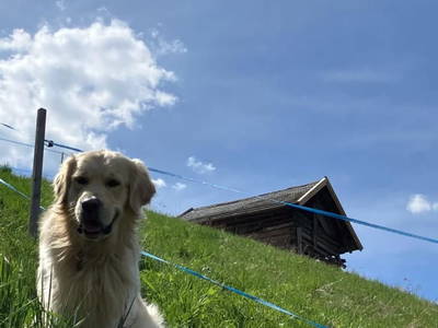 Bild 19 aus  Landhaus Eiter