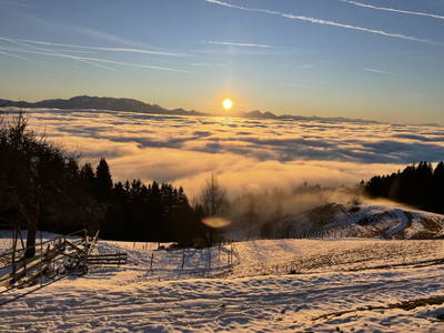 Bild 113 aus  Almhaus Bachler