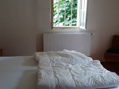 Bild 46 aus  Lettengut