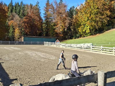 Bild 74 aus  Pferdehof Oberegg