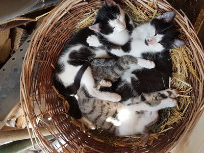 Bild 8 aus  Haus Burbach