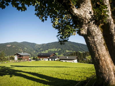 Bild 84 aus  Egglbauer