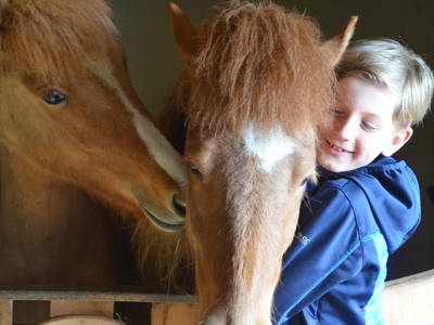 Bild 91 aus  Oberegghof