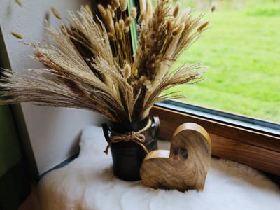 Bild 41 aus  Pochergütl