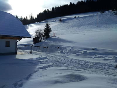 Bild 92 aus  Almhütte Wiedhupf