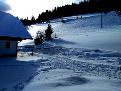 Bild 92 aus Almhütte Wiedhupf