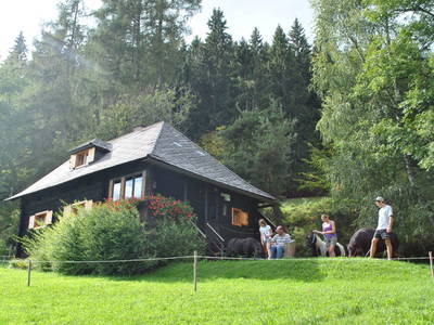 Bild 41 aus  Ferienhütte Alte Mühle