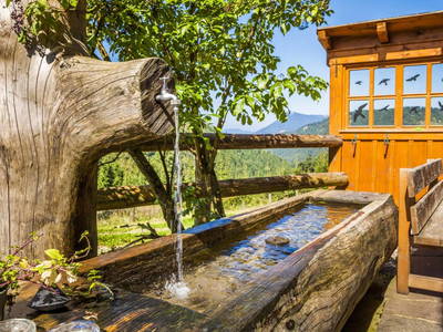 Bild 47 aus  Grögernalm