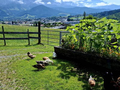 Bild 29 aus  Unterbiberghof