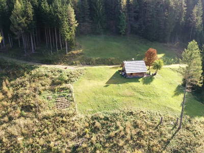 Bild 46 aus  Almhütte Meierle