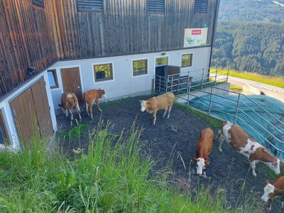 Bild 89 aus  Obersteffengut