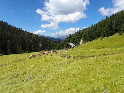 Bild 36 aus  Thomanhof