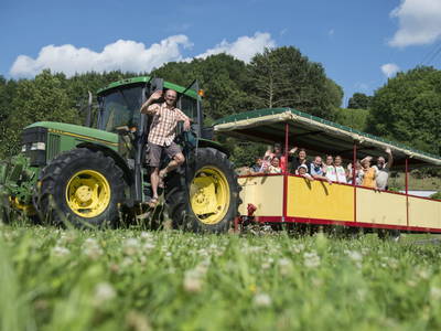 Bild 39 aus  Kürbishof 