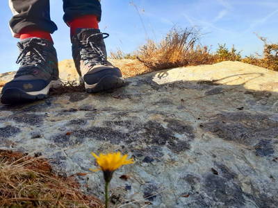 Bild 43 aus  Hoislbauernhütte