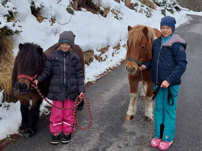 Bild 60 aus  Holzackerhof