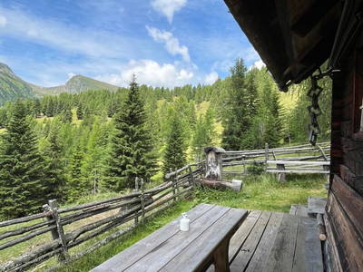 Bild 21 aus  Dreicharhütte