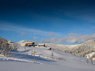 Bild 29 aus  Burnstein