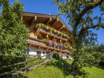 Bild 41 aus  Ederbauer