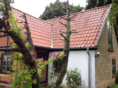 Bild 5 aus  Backhaus Swantow