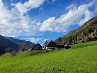 Bild 21 aus  Der Perweinhof