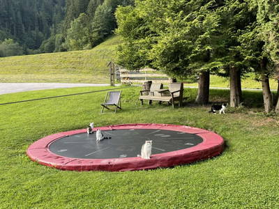 Bild 172 aus  Heisshof 