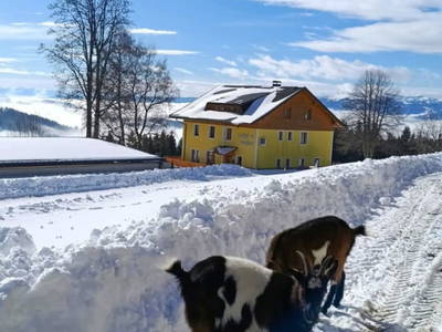 Bild 35 aus  Langhanshütte