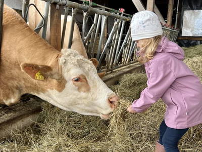 Bild 59 aus  Beim Leben