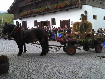 Bild 39 aus  Matzhof