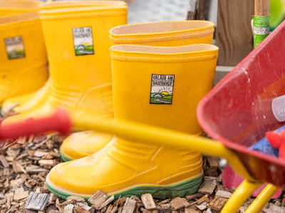 Bild 72 aus  Reiterhof Pfleger