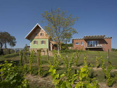 Bild 54 aus  Kürbishof 