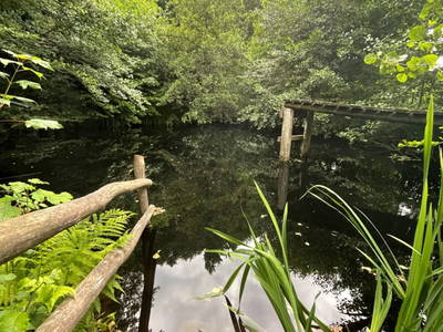 Bild 71 aus  1000 Krauthof - Ferienwohnung