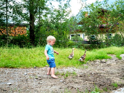 Bild 31 aus Bio-Bauernhof Schweizerhof