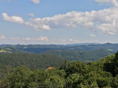 Bild 80 aus  Weingut Stoff