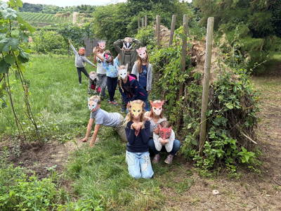 Bild 72 aus  Naturgartenurlaub - Steffis Ferienwohnungen