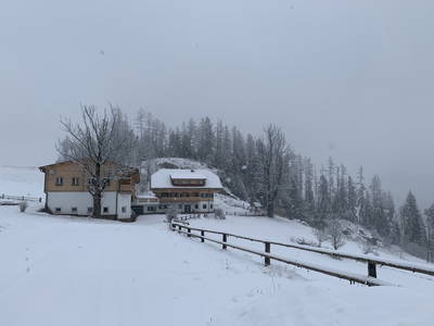 Bild 30 aus  Greithbauer Appartments