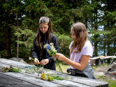 Bild 179 aus  Bischofhütten