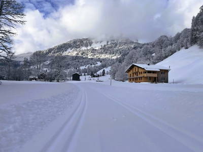 Bild 24 aus  Ferienhof Rösslar