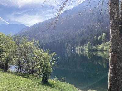 Bild 97 aus  Holzknechthütte
