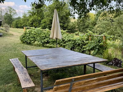 Bild 12 aus  MiklauTz Naturhof