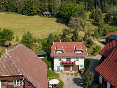 Bild 8 aus  Schlintl-Hof