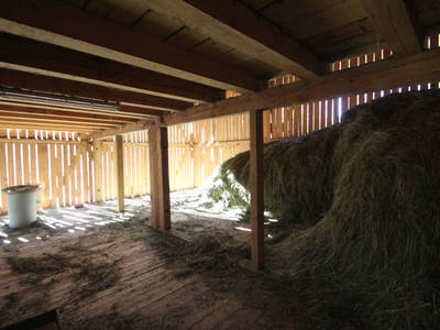 Bild 14 aus  Haus Alpenglühn