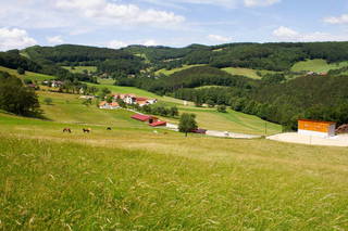 Waldhof Grasel aus Alland