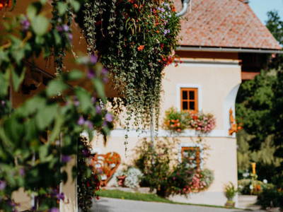 Bild 260 aus  Michlbauer