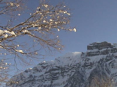 Bild 16 aus  Der BiscHOF in Mellau