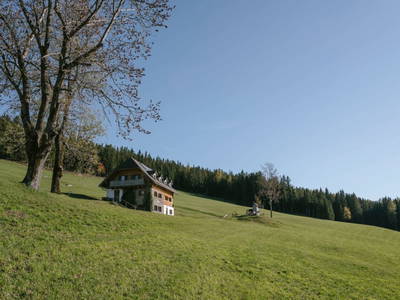 Bild 43 aus  Pieber-Staberhof